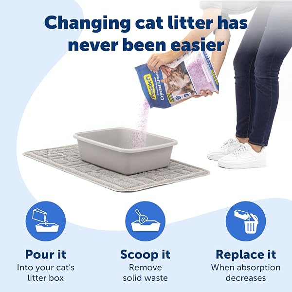 ScoopFree Premium Lavender Scent Crystal Litter, Superior Odor Control, Absorbs 5X Faster, Low Tracking for Less Mess, Lasts up to 2 Months, Lightly Scented (8 lb Bag) Lavender 1 Bag (8lb) - 3