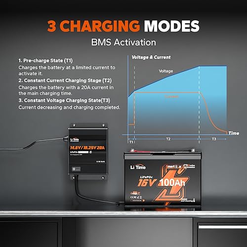 Miniatura 4 de LiTime Cargador de batería LiFePO4 de montaje de 12 V (14.6 V) y 16 V (18.25 V) 20 A - Cargador rápido de CA a CC impermeable IP65 con voltaje