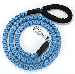 Bungee Dog Leash with Elastic Stretch Design, Durable Nylon Dog Lead for Medium Large Dogs, Comfortable Padded Handle, Tangle-Free Training Walking Leash