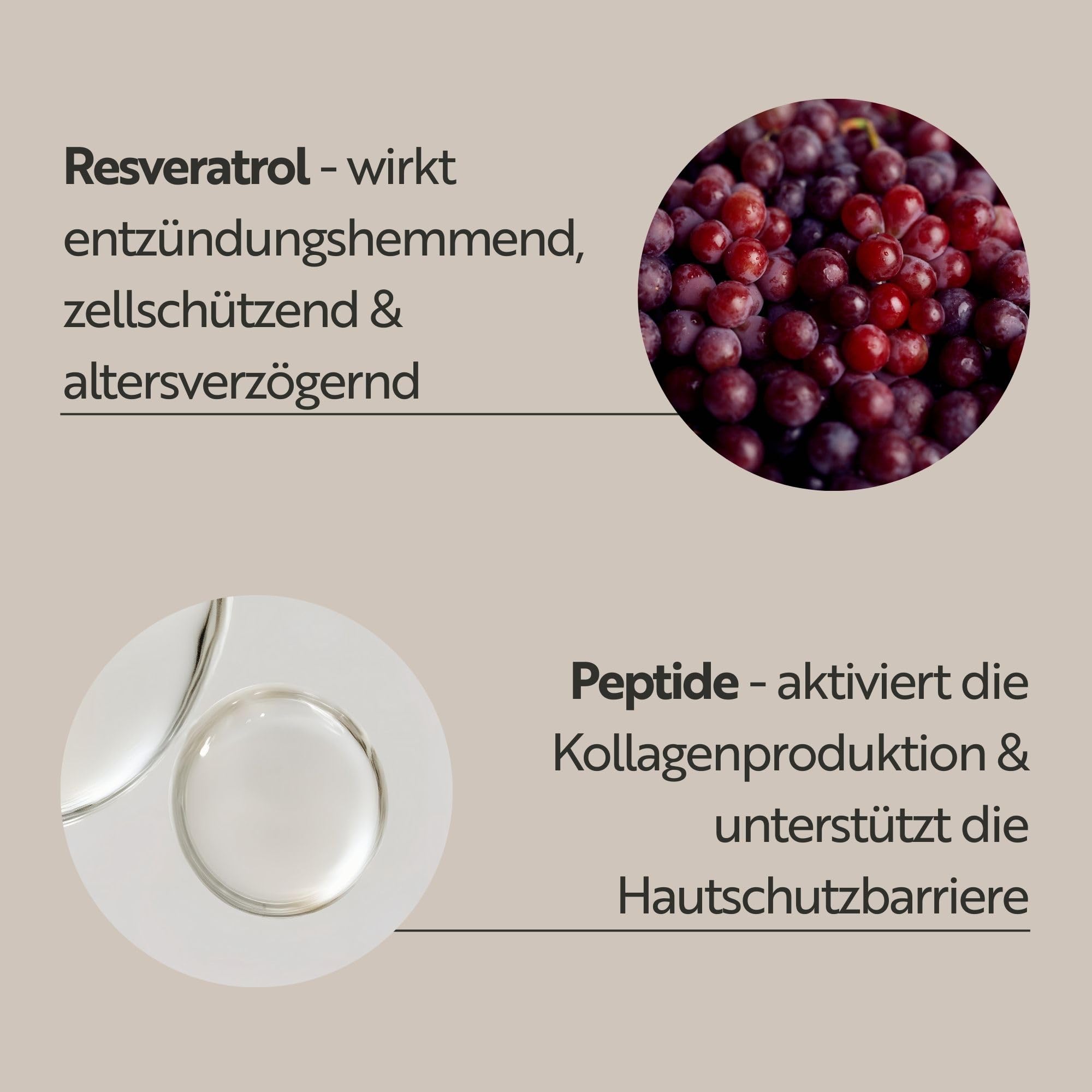 M. Asam Resveratrol Premium NT50 Longevity Lifting Day Cream SPF 15 (100ml) | Anti Aging Tagescreme für Straffere Haut, Anti Falten Wirkung