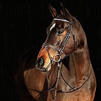 Vista 10 de HORZE Weston - Brida de cuero acolchada con muserola flash y riendas de tela Brida inglesa para caballos