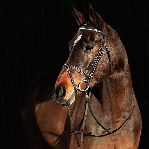 Miniatura 10 de HORZE Weston - Brida de cuero acolchada con muserola flash y riendas de tela Brida inglesa para caballos