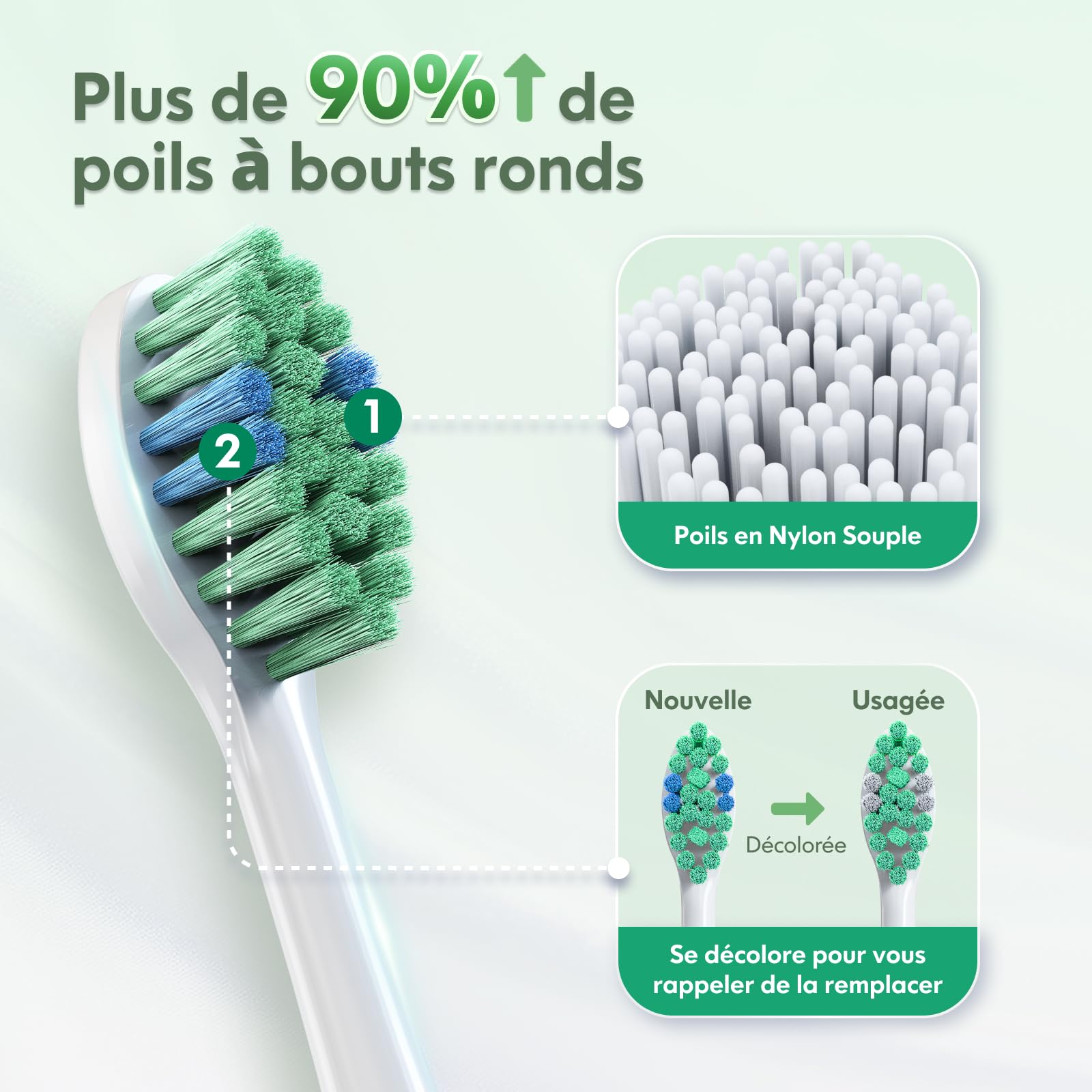 Brosse à dents électrique pour adultes et enfants, rechargeable, sonique, avec étui de voyage, support et 7 têtes de brosse, 6 modes et 3 intensités, minuterie de 2 minutes (Vert)