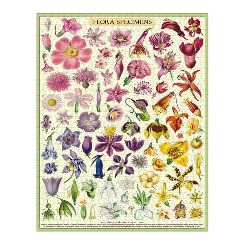 Cavallini & Co. - Rompecabezas de muestras de Flora, 1000 Piezas