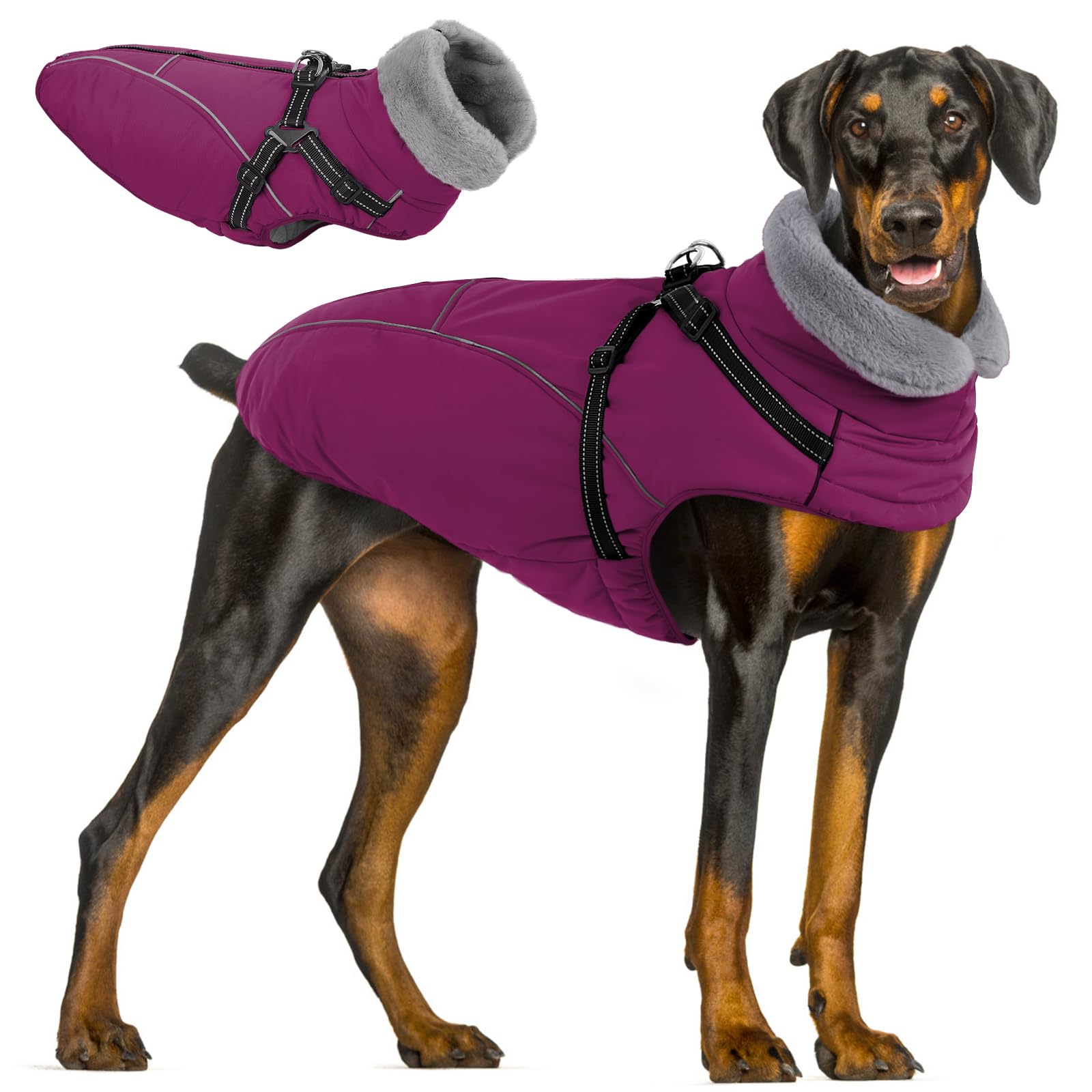 Queenmore Dog Coats Waterproof Reflective Windproof Outdoor Gear for Large Breeds - Labrador/Golden Retriever/Husky(Plum, 2XL)