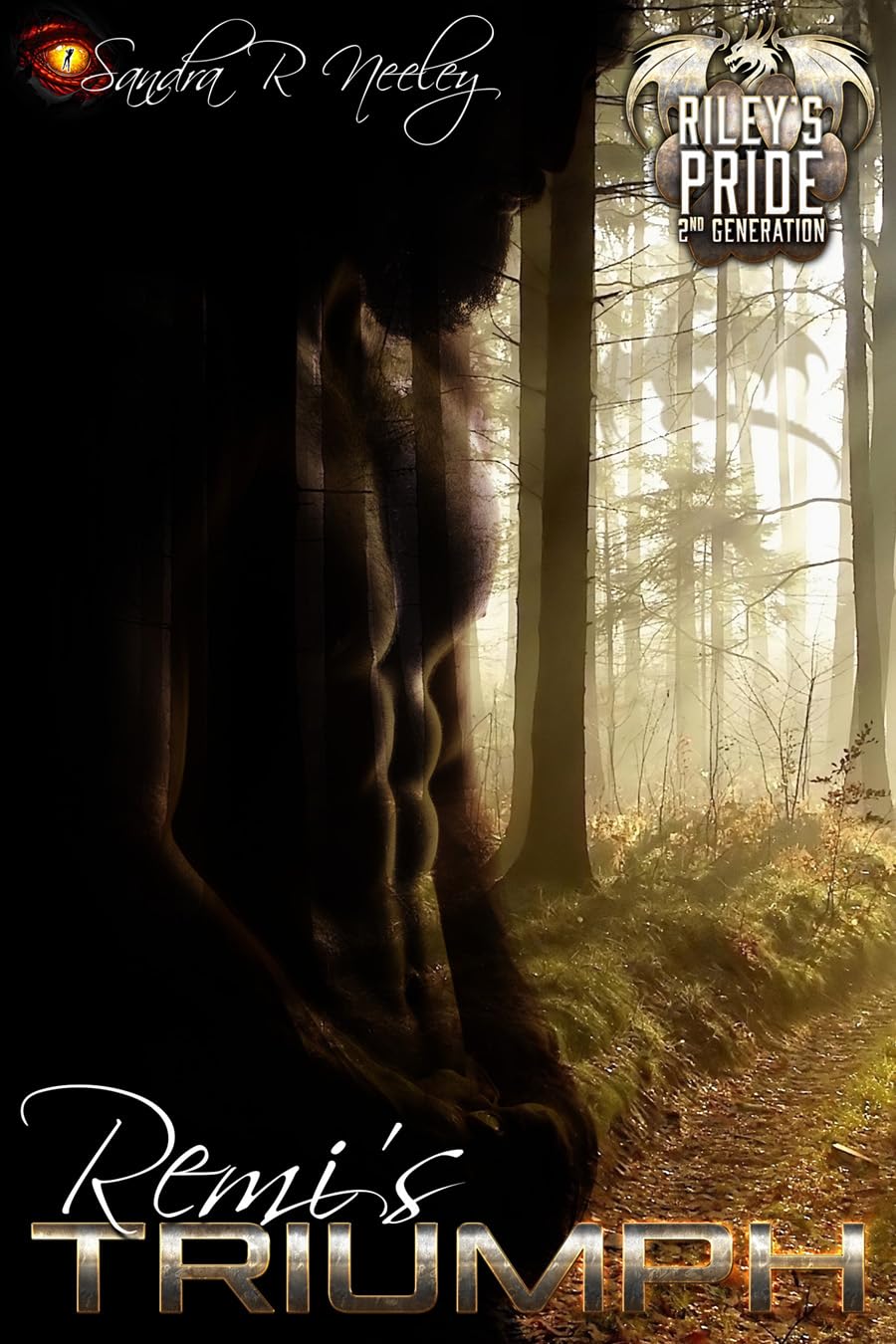 Cover of Remi's Triumph