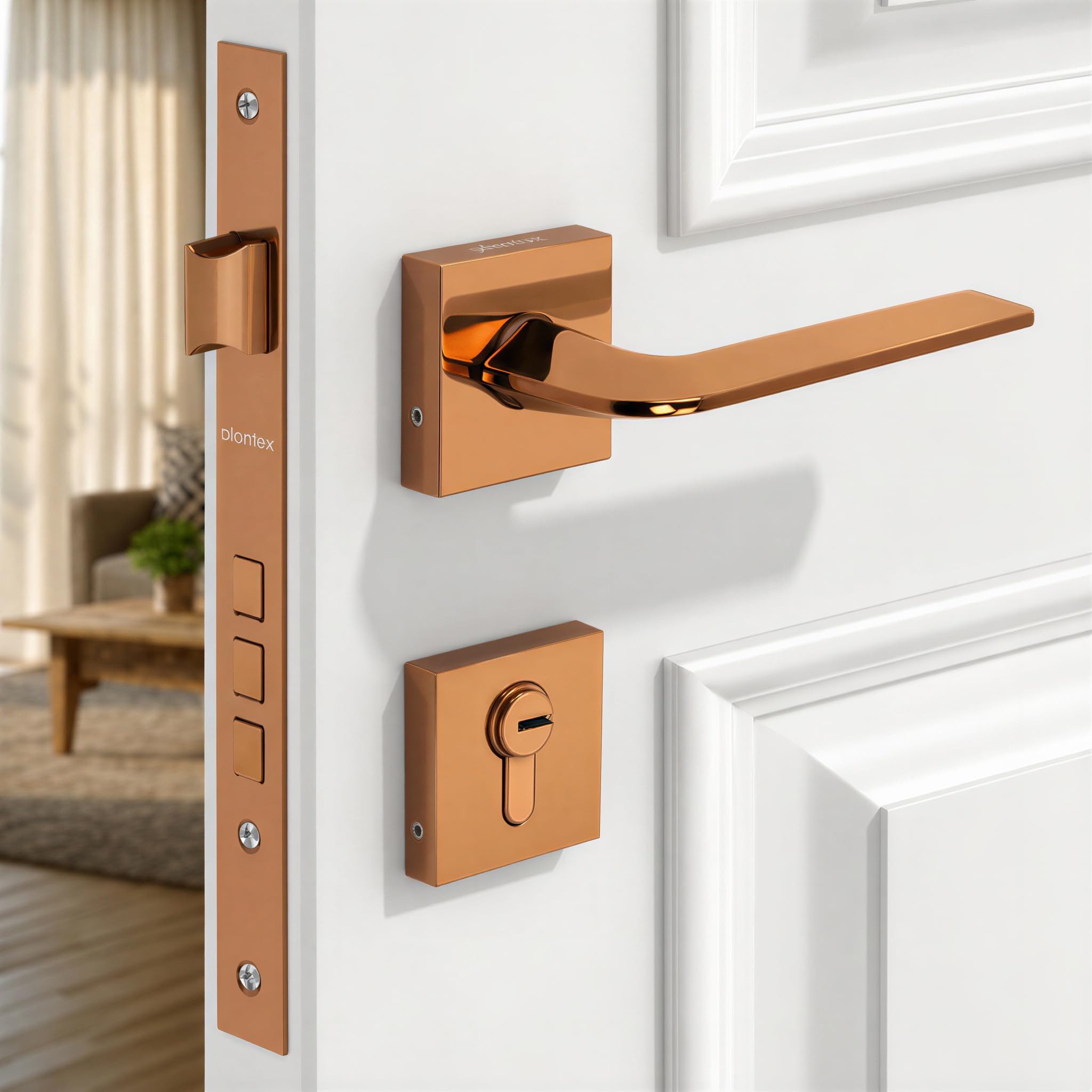 Plantex Brass Premium Door Lock With 3 Years Of Warranty By /Main Door Lock For Home/Mortise Lock For Door - Main Door Lock Set (7105 - Gold) — Amazon image 11