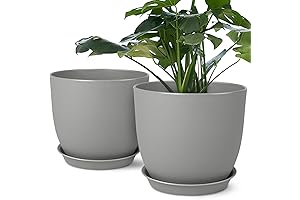 8 Pots for Plants, Flower Pots with Drainage