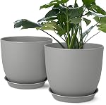 Pots végétaux 8 Ensemble de pouces 2, Pots de fleurs avec trous de drainage multimesh, Planteurs pour intérieur extérieur jardin plantes et fleurs (blanc)