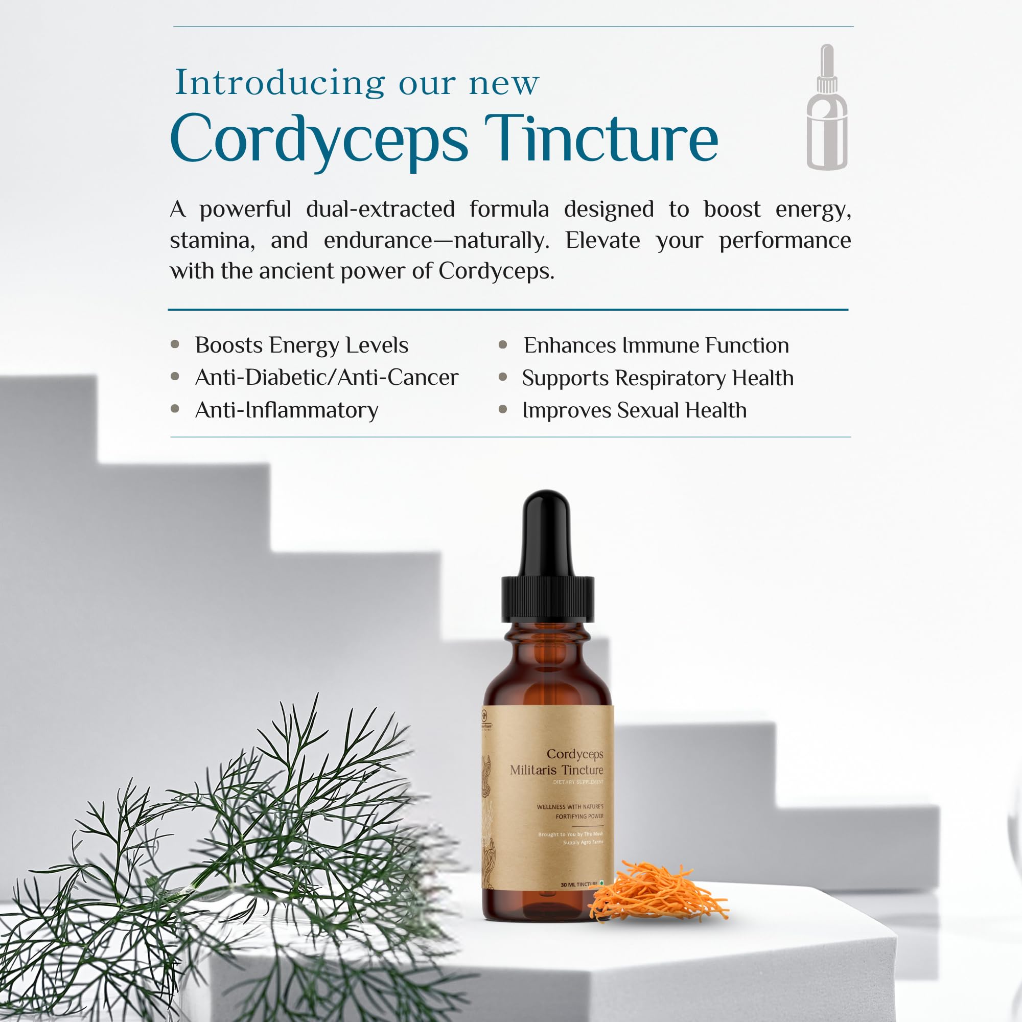 Cordyceps Militaris Mushroom Tincture | Dual Extract | Fruiting Body | Natural Vitality & Wellness | 30ml by The Mush Supply — Amazon image 4