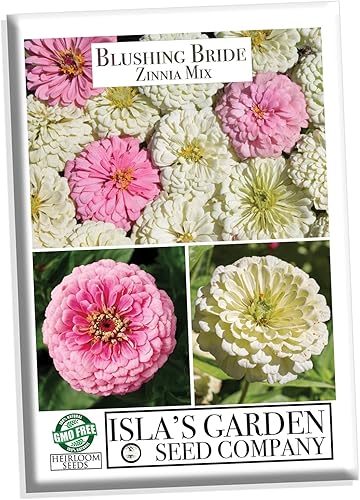 Blushing Bride Mix - Semillas de zinnia para plantar, más de 200 semillas de flores por paquete, semillas de jardín de Isla (semillas de jardín de