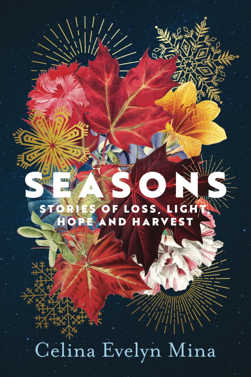 Seasons: Stories of Loss, Light, Hope and Harvest