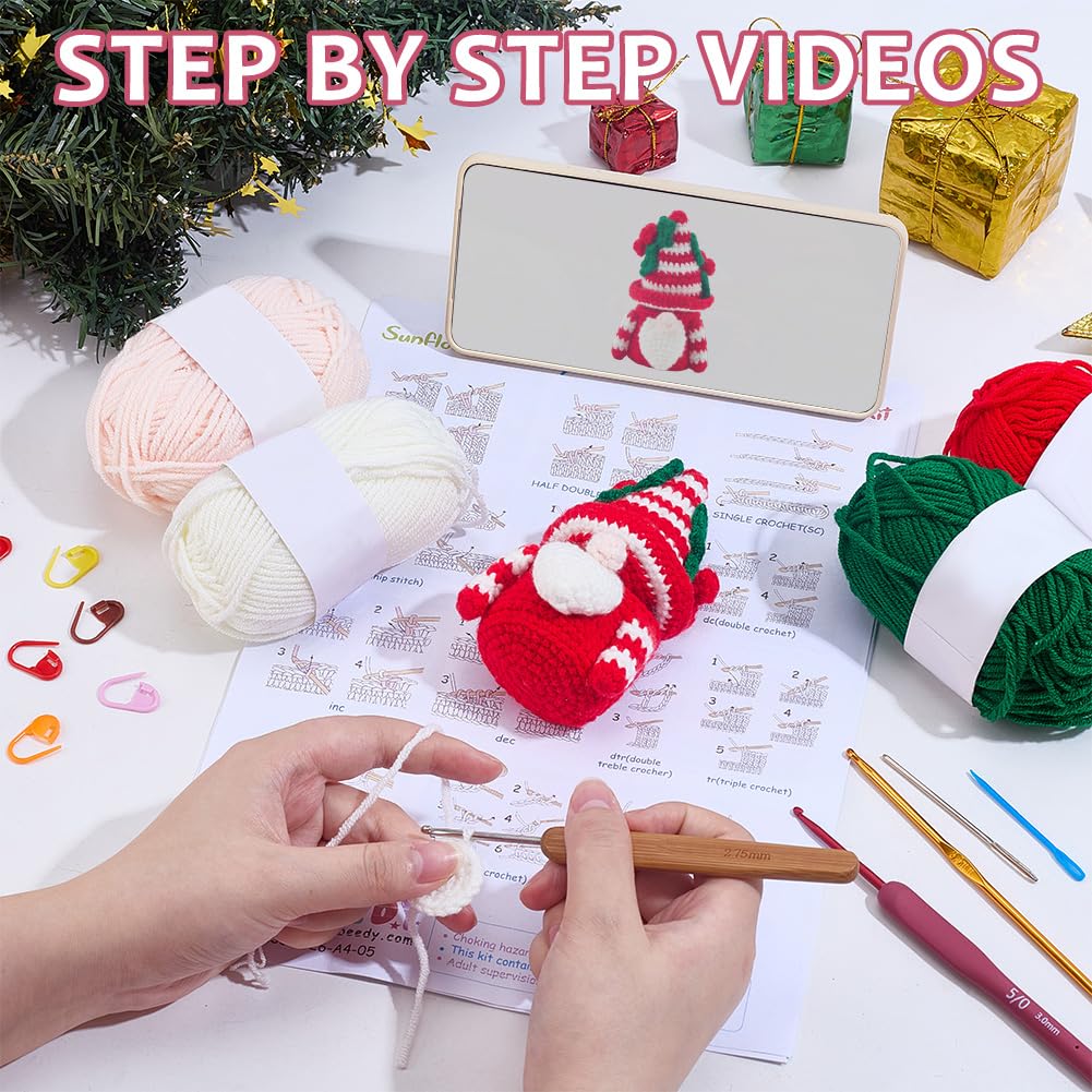 WEBEEDY Kits De Démarrage De Crochet De Noël Pour Adultes