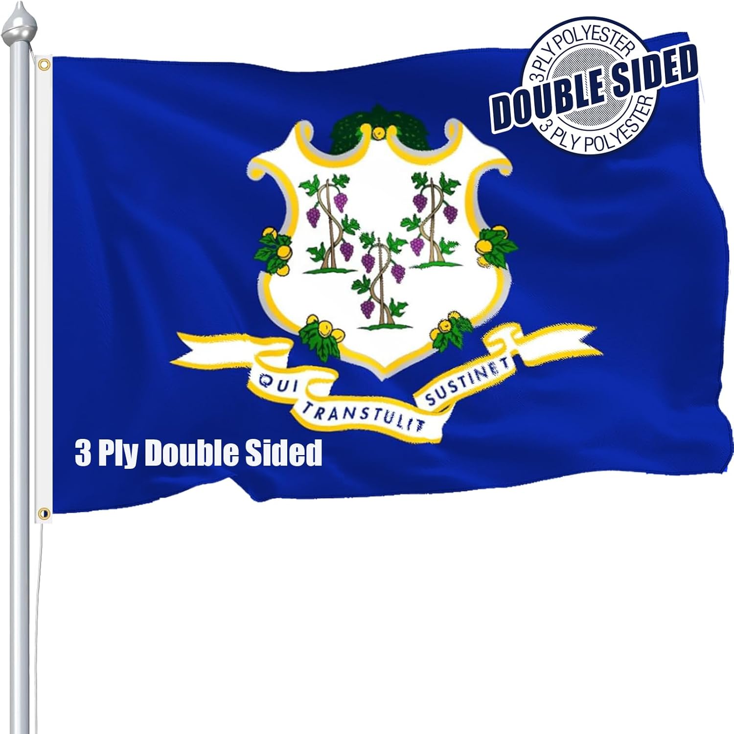 Connecticut Flag 3x5 FT Sturdy for Outside, Heavy Duty 3Ply Polyester Connecticut State Flags Outdoor, Double Sided Long Lasting CT State Flag Brass Grommets