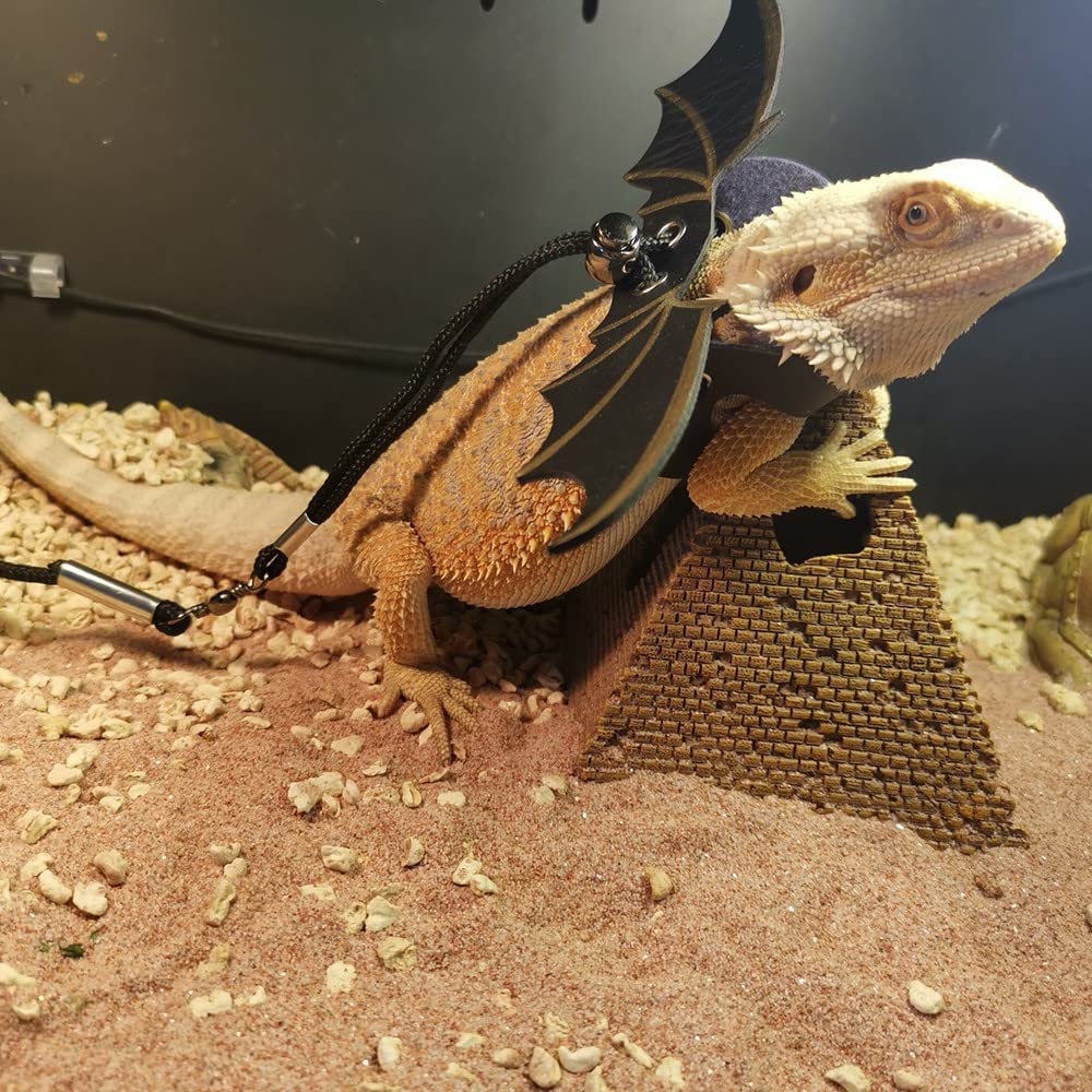 Harnais de Laisse de Reptiles,Lot de 3 Ailes Réglables pour Les Reptiles de Lézard de Dragon Barbu Marche de Sécurité en Plein Air