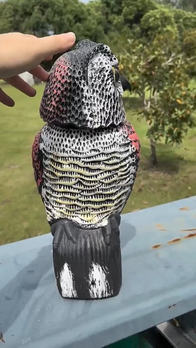 Épouvantail Chouette Navaris – Effaroucheur Oiseaux Plastique – Neuf