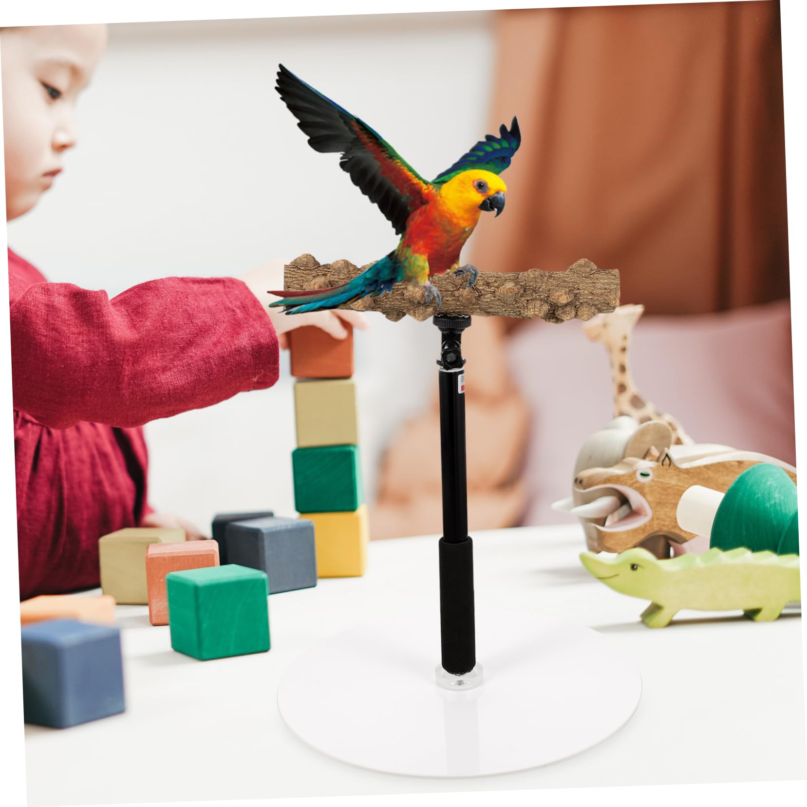 Percha Ajustable de Altura para Loros y Aves, Soporte Metálico | Base Estable, Superficies Rugosas, para Entrenamiento y Observación de Aves Cantando