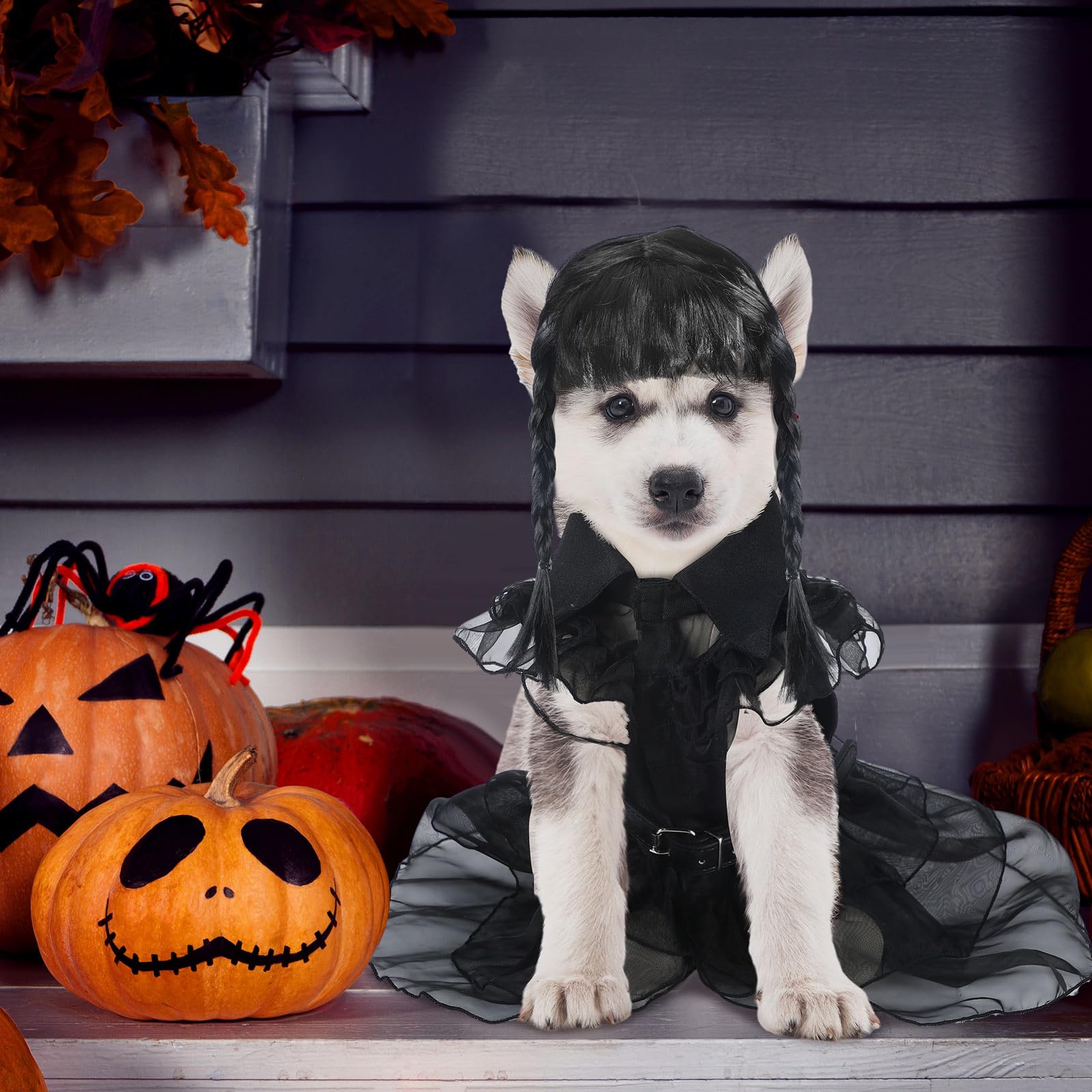 cute pet dress up National Dress Up Your Pet Day