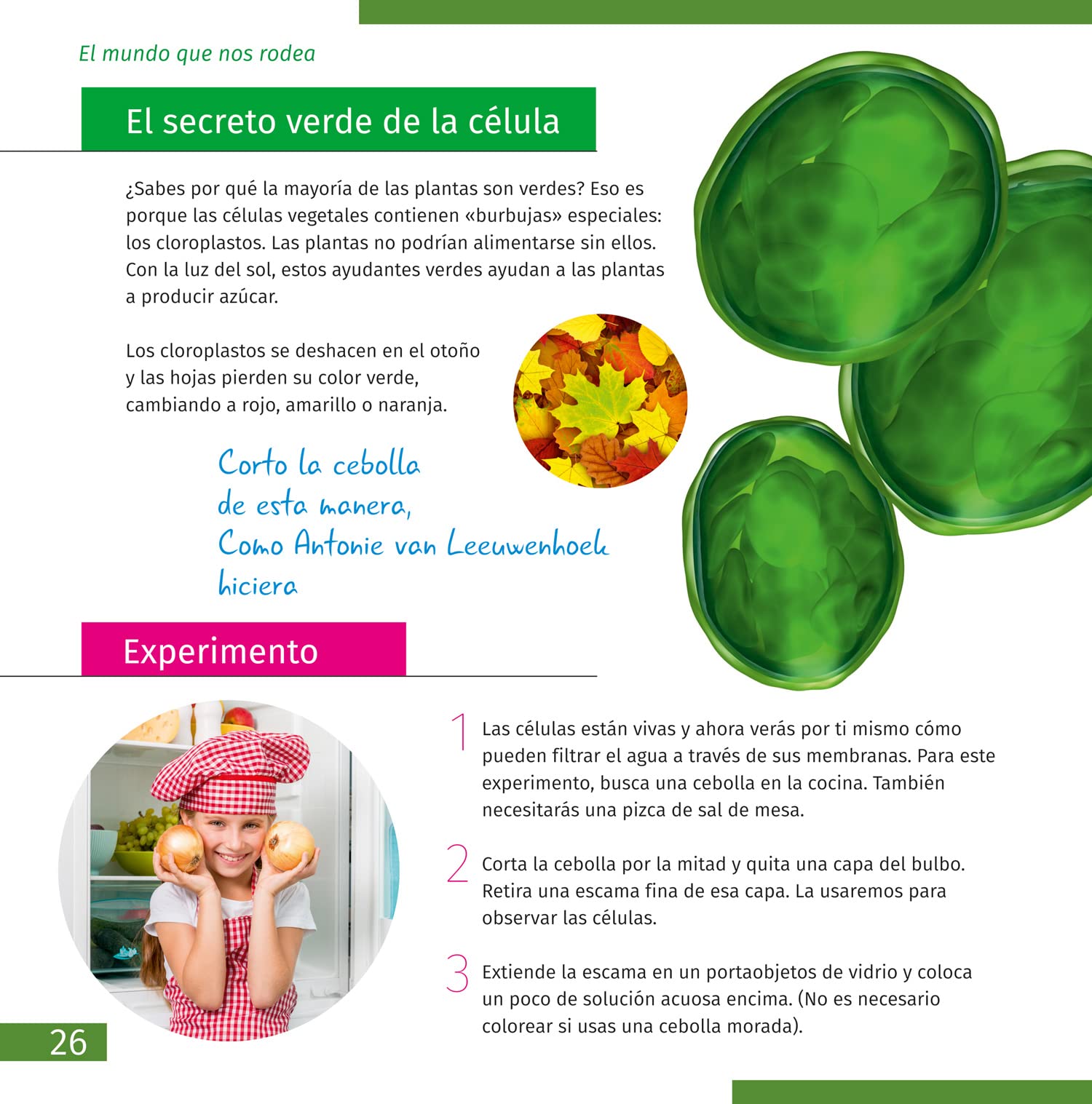 Mondo Invisibile. Libro Educativo Su Biologia, Microscopia e Mondo Microscopico per Bambini e Ragazzi di Elementari e Medie, Copertina Morbida (Edizione Spagnola)