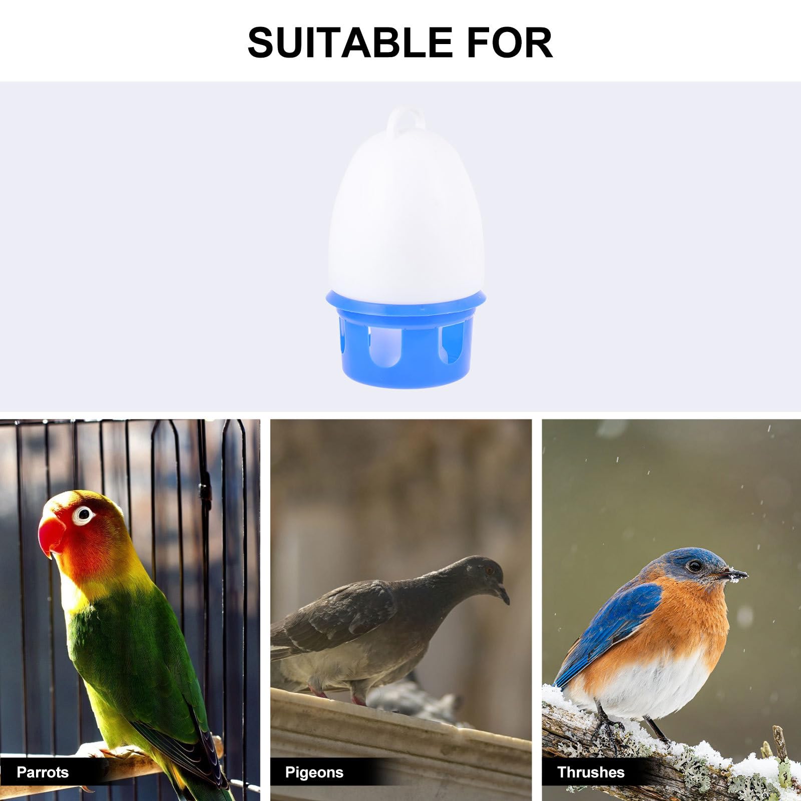 Abreuvoir pour Oiseaux en Plastique PVC Bleu, Modèle Rond, 1 Pièce | Amovible, Facile à Nettoyer Utiliser, Design Robuste, pour Perroquets et Colombes
