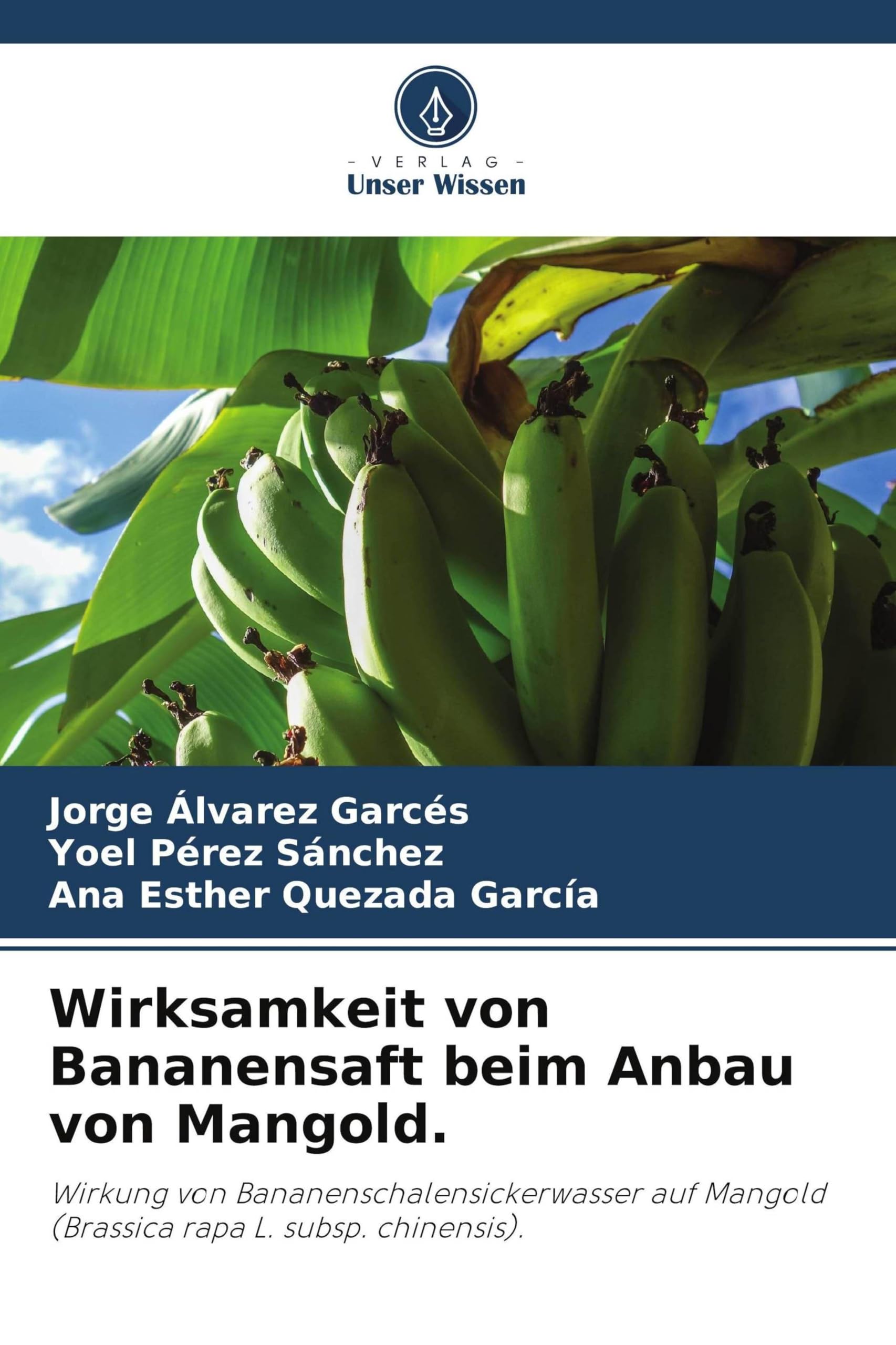 Wirksamkeit von Bananensaft beim Anbau von Mangold.: Wirkung von Bananenschalensickerwasser auf Mangold (Brassica rapa L. subsp. chinensis).