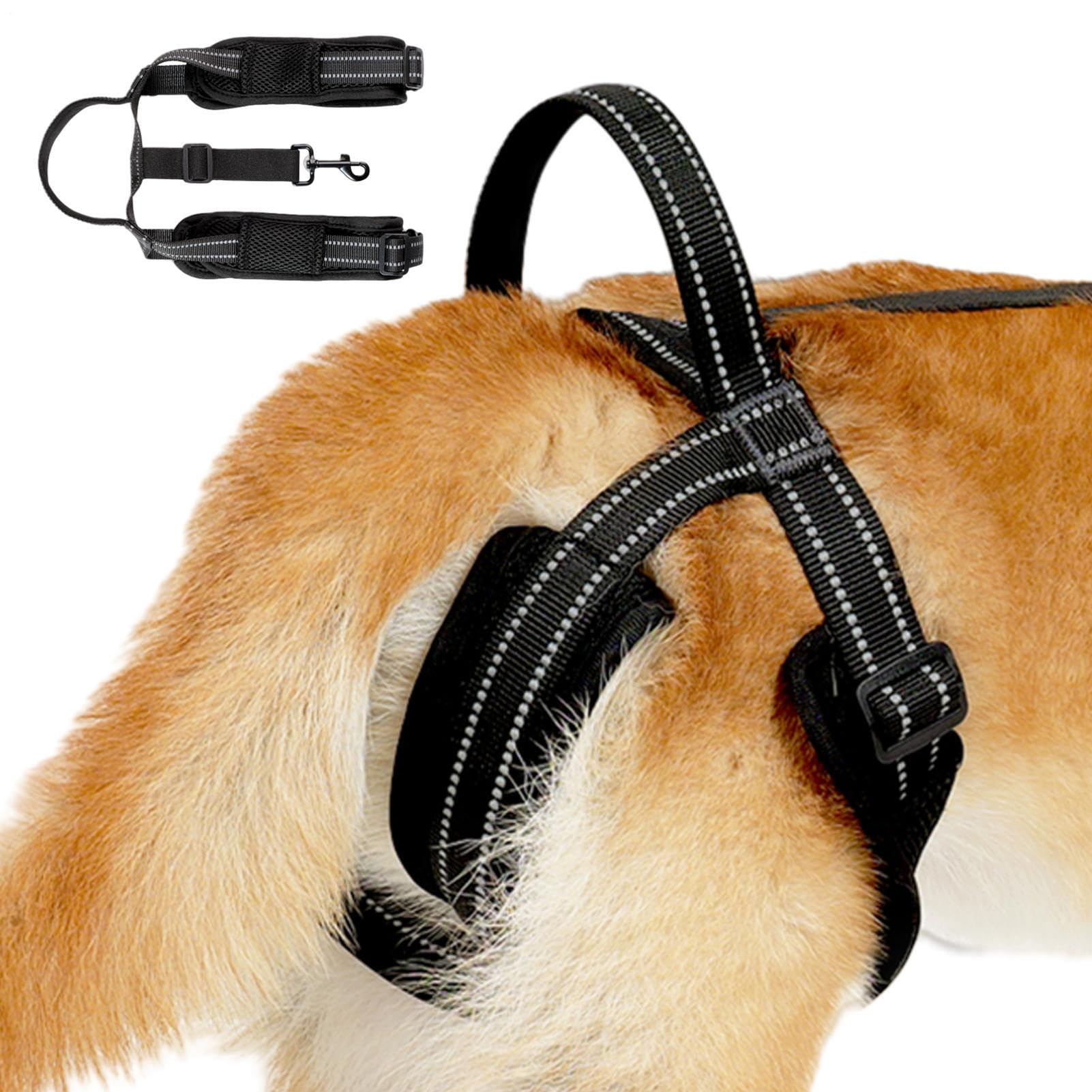 Licou Dog Wiring Harness, Scarf for Rear Legs, Adjustable Hip Support Harness, Vest Harness with Robust and Lightweight Handle for Older or Disabled Dogs Up and Down