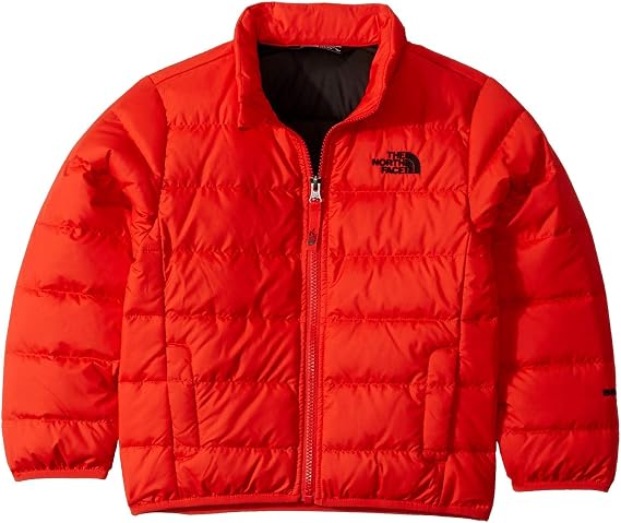 The North Face Boys' Andes Jacket 