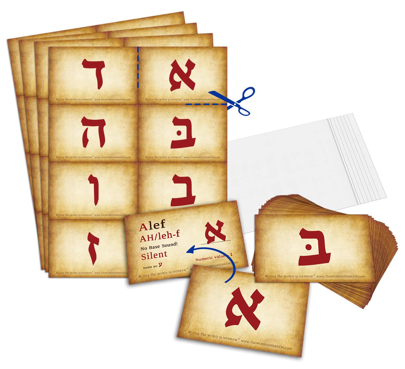 Hebrew Alphabet Flash Cards by The WORD in HEBREW