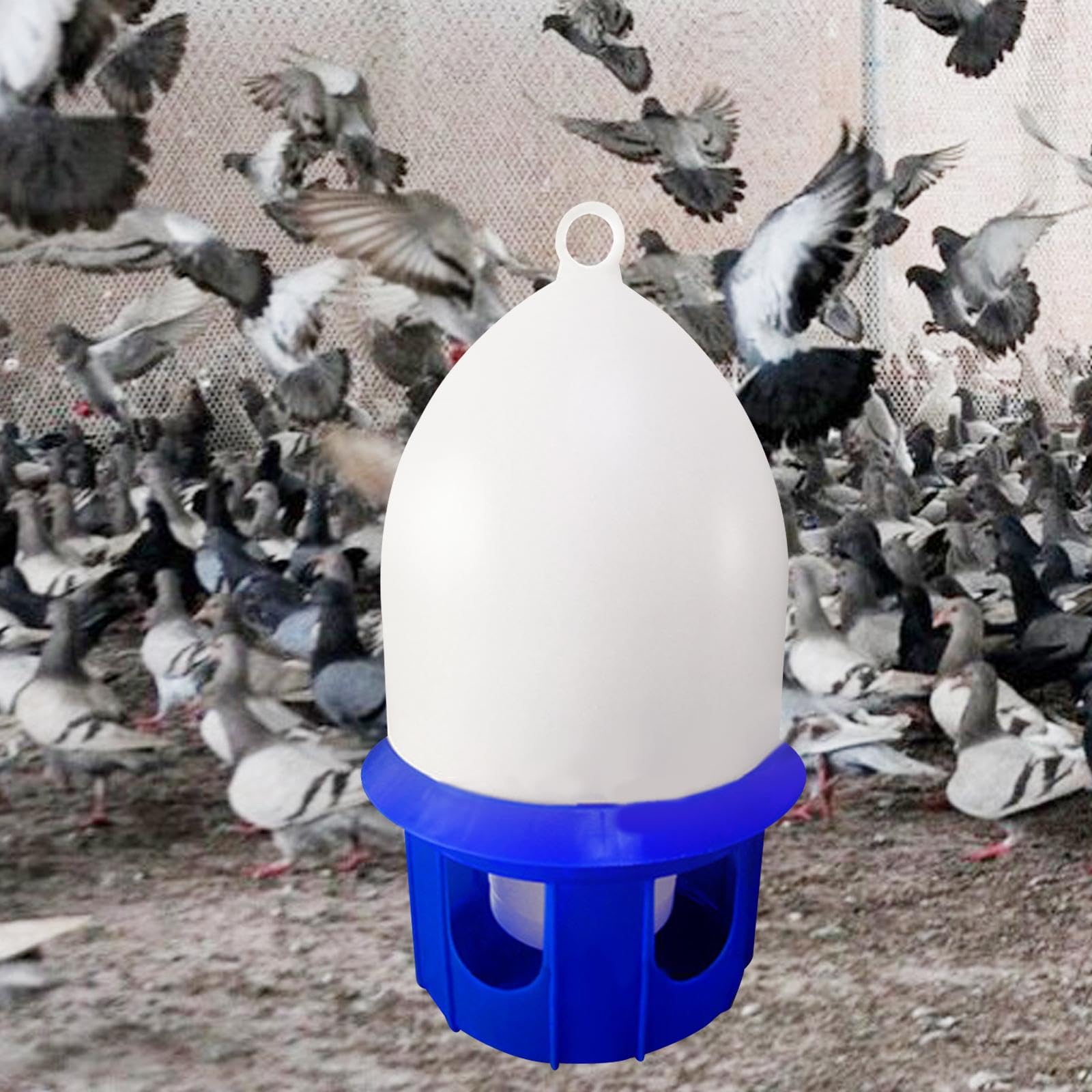 predolo Bebedero para Palomas, Bebedero de Agua para pájaros, Cubo para alimentación de Agua, Bote de Agua para Mascotas, Bebedero para Palomas de Granja de, 6L Azul