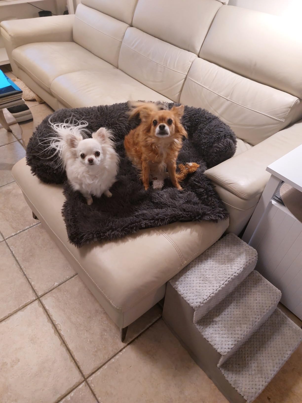 pfoten&nasen® Hundebett Sofa [Dunkelgrau, M - 90x80cm], Sofabett Hund, Sofaschutz Hund, Wasserdicht Hundematte Waschbar, Hundekissen für Große, Mittelgroße und Kleine Hunde, Hundesofa.