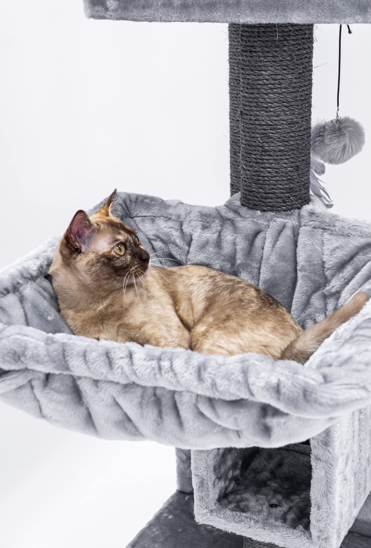 Petrebels Premium Drapak dla Kota Cleopatra 134 cm, Designerski z Miejscem XL do Leżenia, Legowiskiem i Pniami Ø 9 cm, Kolor Szary