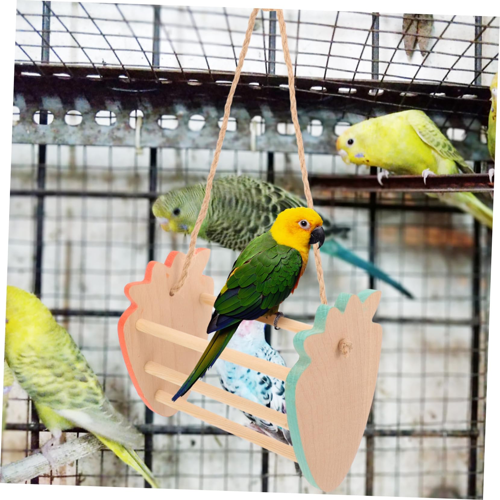 BESPORTBLE 4pezzi Giochi Per Pappagalli Con Altalena Legno Posatoio Appeso Per Uccelli Decorazione Per Gabbiette Giocattolo Interattivo Per Parrocchetti e Pappagalli Atmosfera Calda e