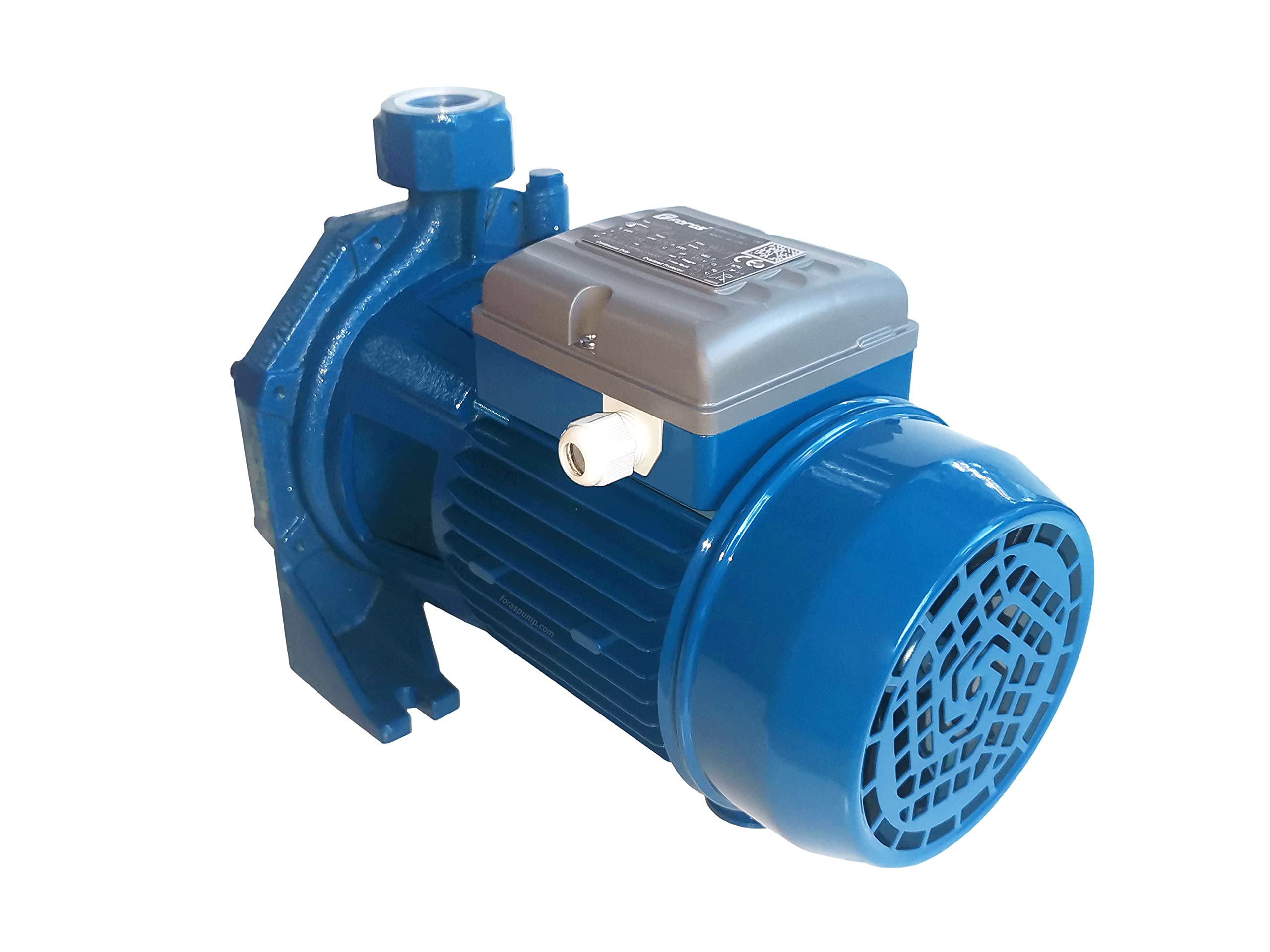 FORAS KB100 Pompe centrifuge haute hauteur avec bon débit de refoulement pour installations domestiques et industrielles, fabriquée en Italie, fonctionnement continu, 230 V, 0,74 kW, 80 l/min, 42 m
