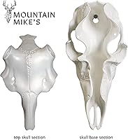 Vista 7 de Skull Master by Illusion White European Mount Antler Mounting Kit Euro Mount 3D Modeled Replica Deer Skull Taxidermy Compatible with