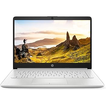 Buy Hp 14 10th Gen Intel Core I5 Processor 14 Inch Laptop I5 1035g1 8gb 1tb Hdd 256gb Ssd Win 10 Home Ms Office Natural Silver 14s Cs3009tu Online At Low Prices In India Amazon In