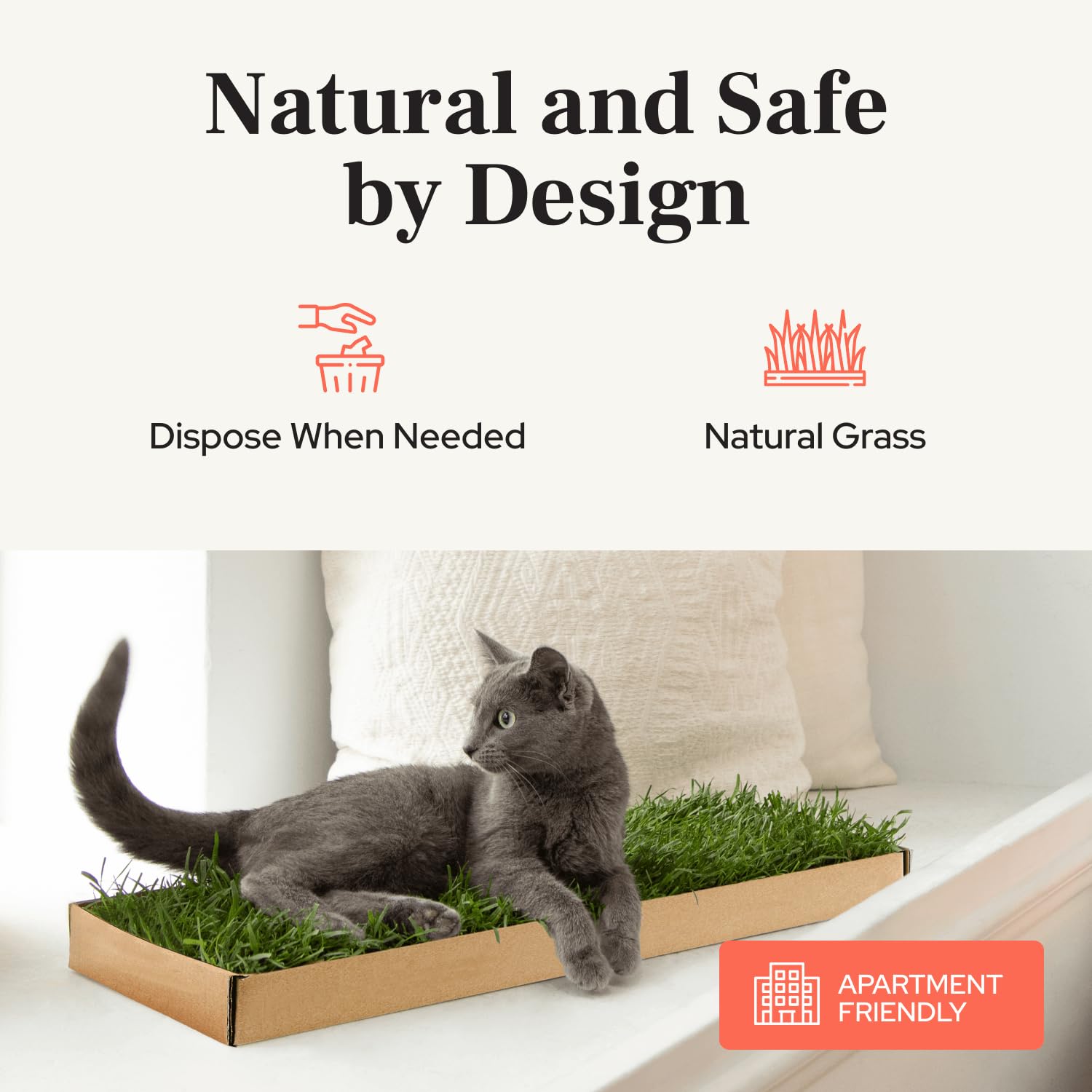 Kitty Lawn - Percha y tumbona para ventana de gato de césped real, cama de césped fresco para gatos grandes y pequeños, asiento de ventana para tomar el sol y observar aves, cultivado en Estados