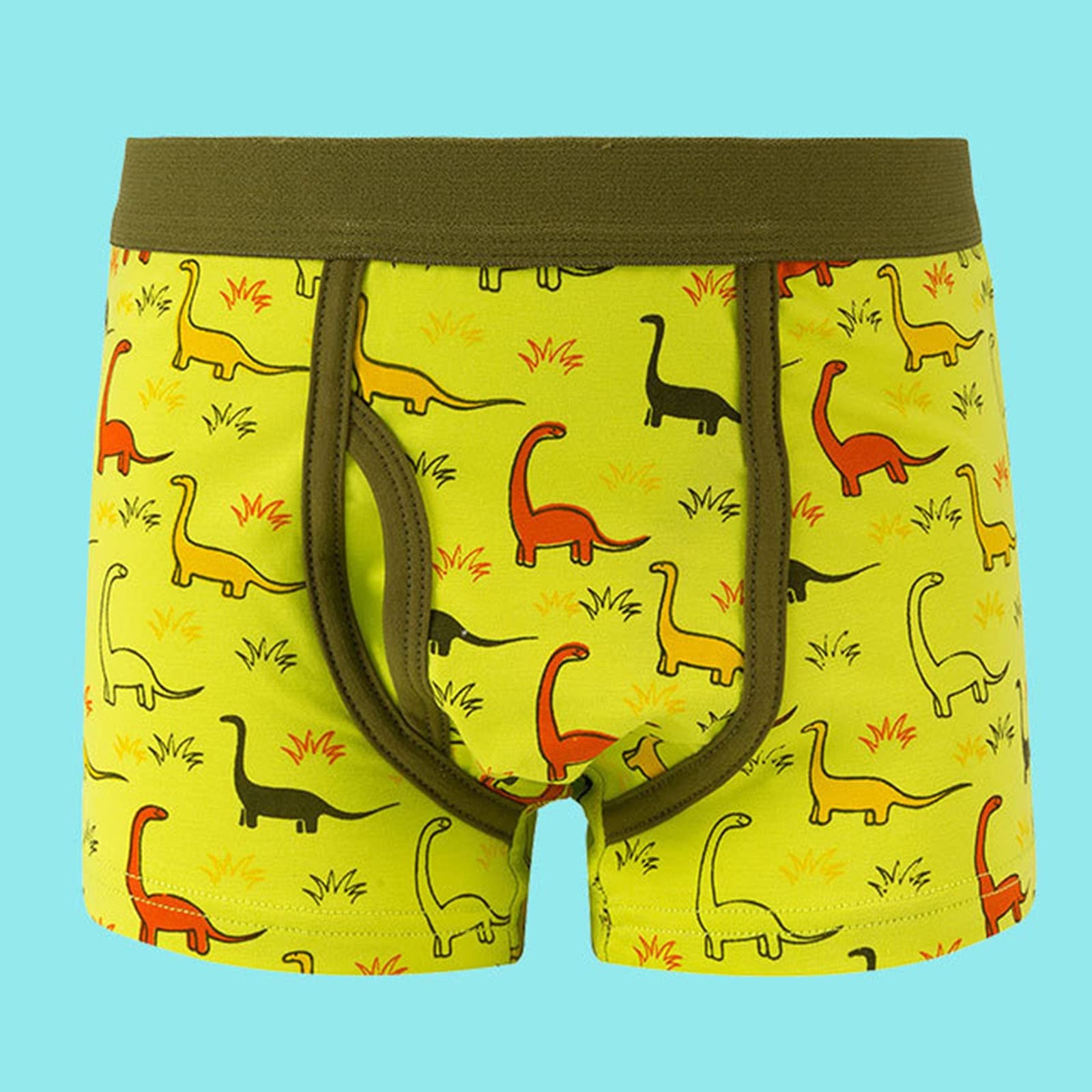 Boxer Pantalons Dinosaure Dessin Animé Enfants Garçons Culottes Plates Slip Sans Couture Ensemble 5 Pièces