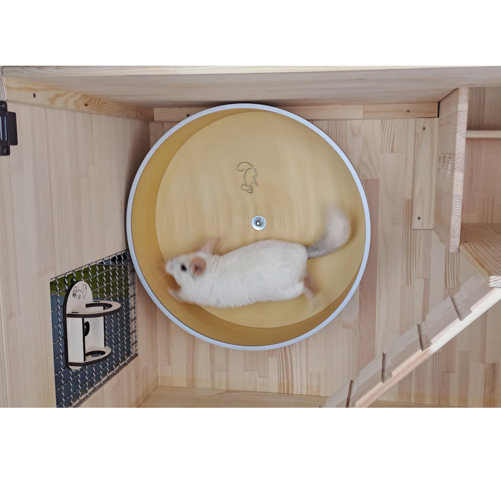 Chinchilla - Rueda de ejercicio de 16 pulgadas, funcionamiento silencioso