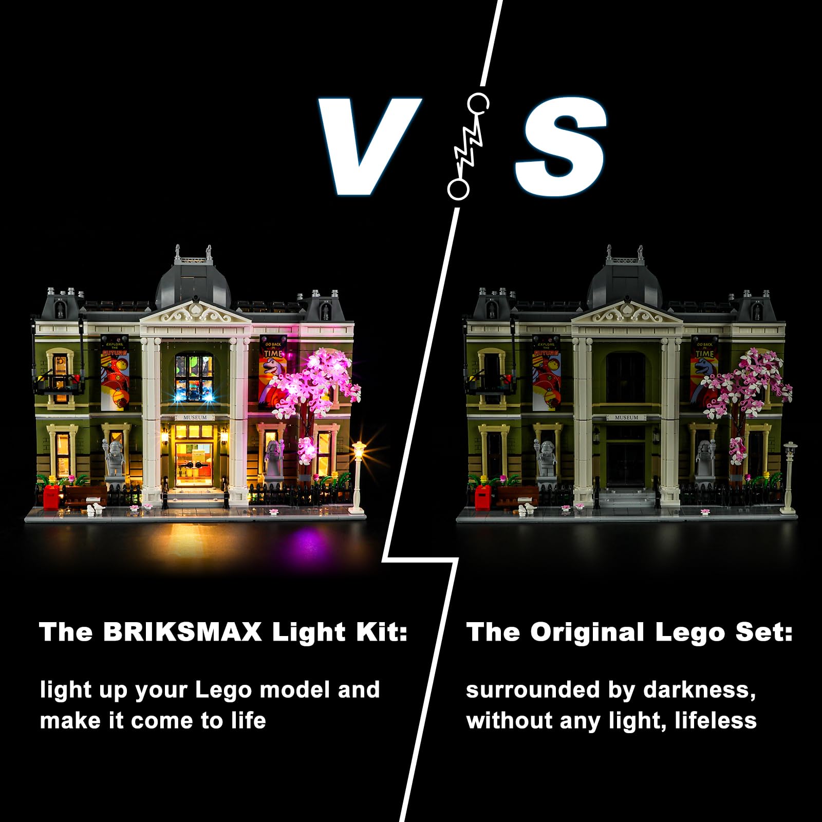 Amazon.com: BRIKSMAX Led Lighting Kit for Lego-10326 Natural
