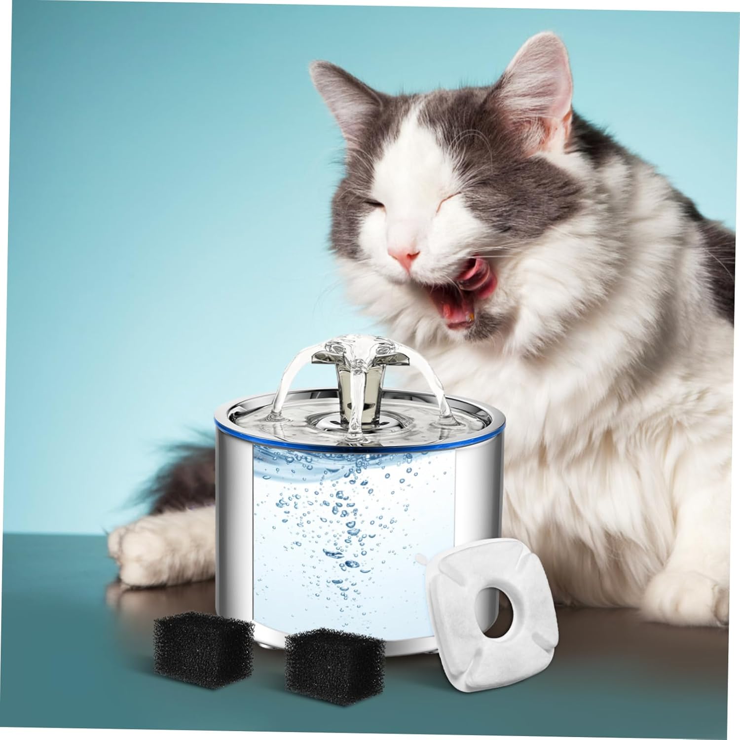 balacoo 60sets Pet Fountain Replacement Filters Efficient Water Dispenser Filters for Dogs Cats Compatible Various Pet Water Fountain Models Easy Installation Use