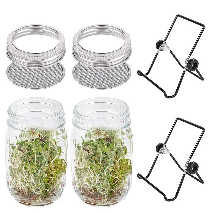 Buy 2 Pack Sprouting Seeds Kit, Wide Mouth Mason Jars with Stainless