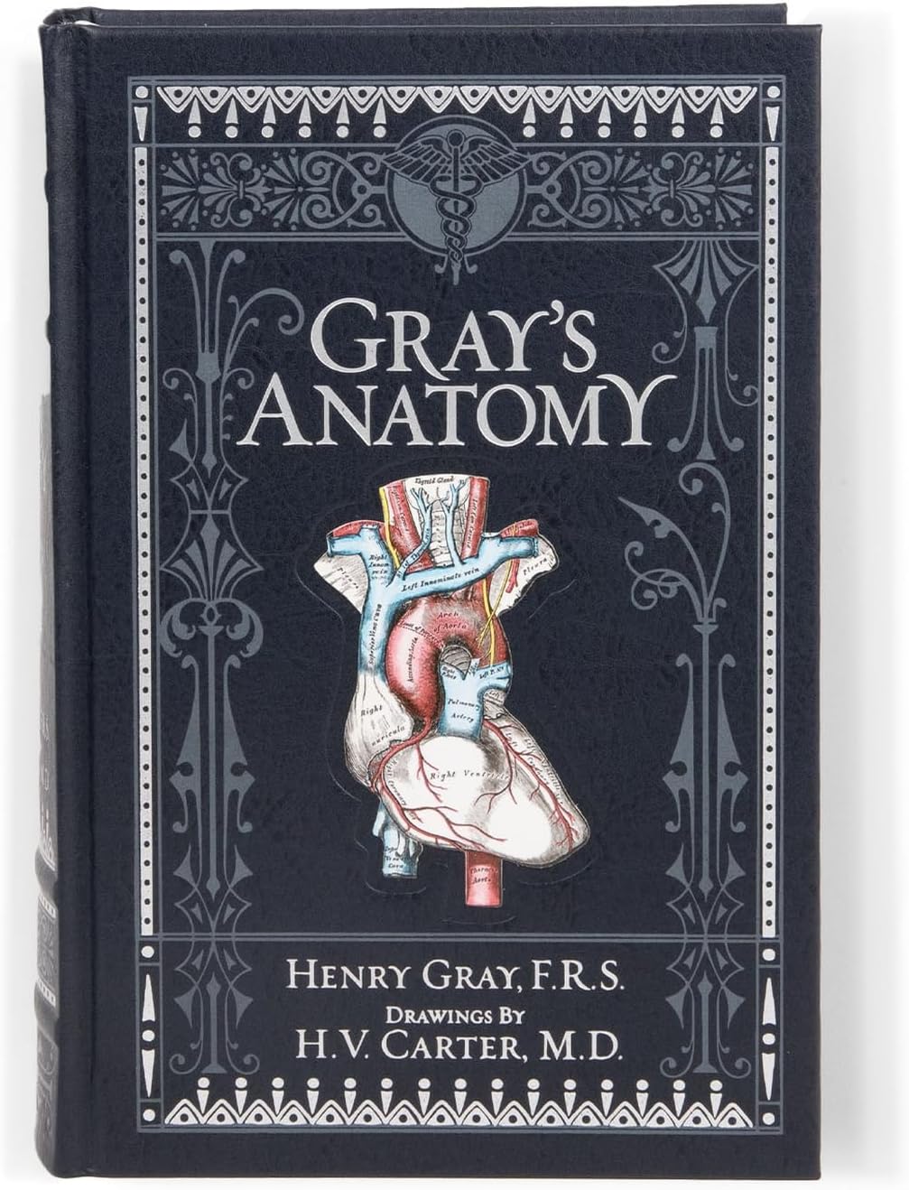 Gray's Anatomy (Barnes & Noble Collectible Classics: Omnibus Edition) (Barnes & Noble Leatherbound Classic Collection) (Barnes & Noble Collectible Editions)