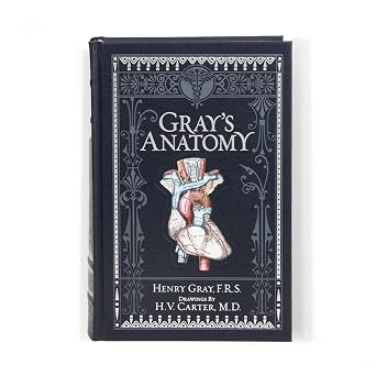 Gray's Anatomy