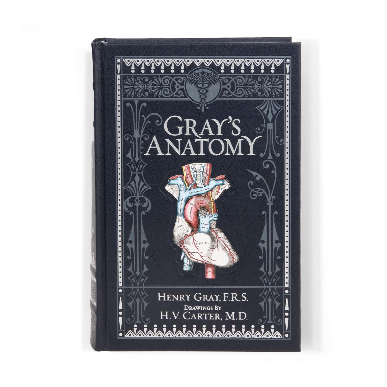 Gray's Anatomy (Barnes & Noble Collectible Classics: Omnibus Edition) (Barnes & Noble Leatherbound Classic Collection) (Barnes & Noble Collectible Editions)