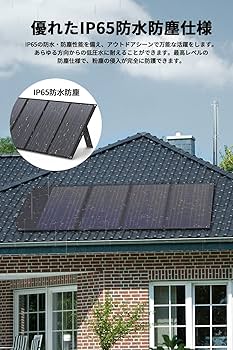 Amazon.co.jp: Philips (フィリップス) 100Wソーラーパネル