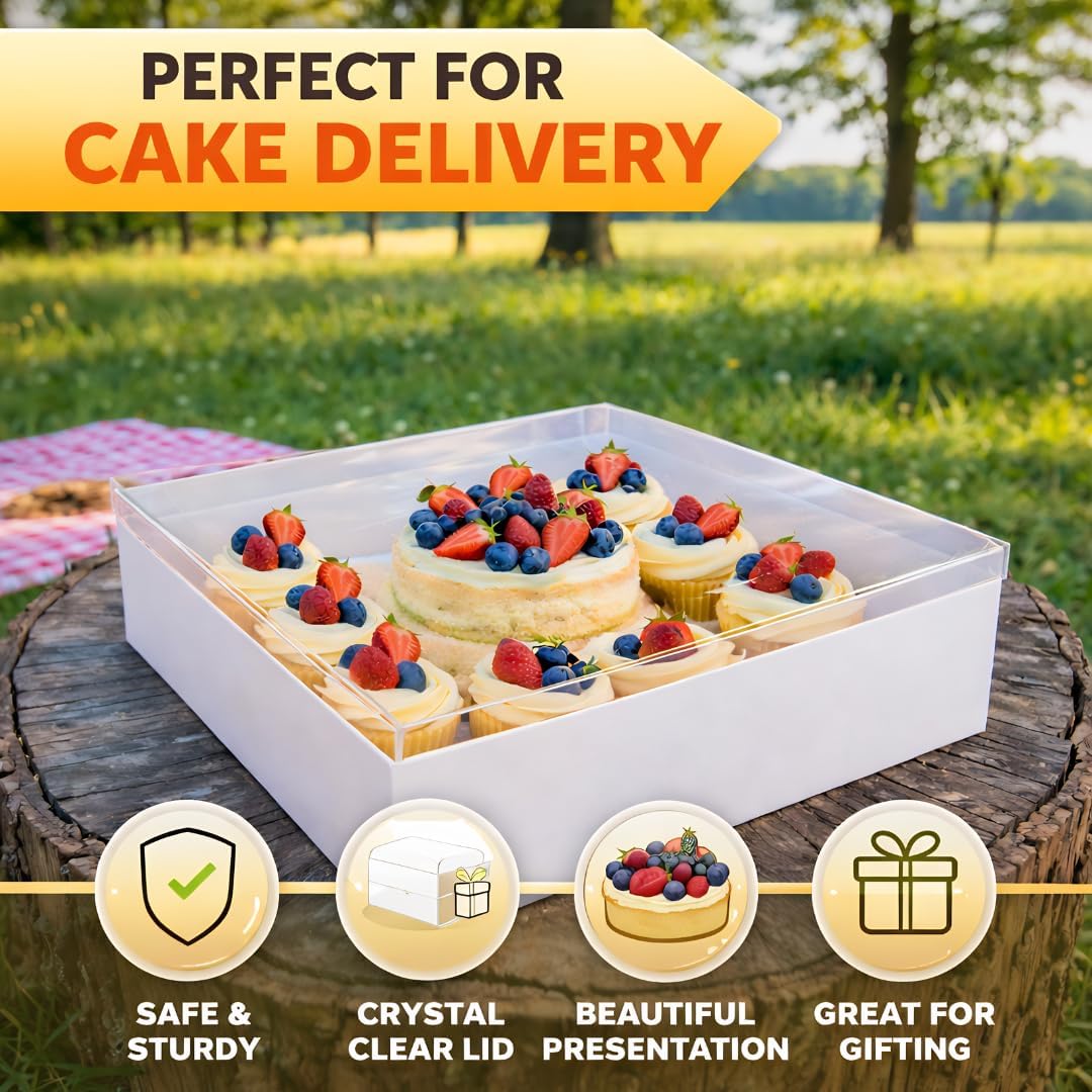 Sweet Degrees Bento Cake and 8 Cupcake Box 5 Pack | Clear Lid Cupcake Boxes with Insert | Cake Cupcake Combo Box for Bakery, Birthday Party, Baby Shower, Wedding | BPA-Free Dessert Boxes for Gifting