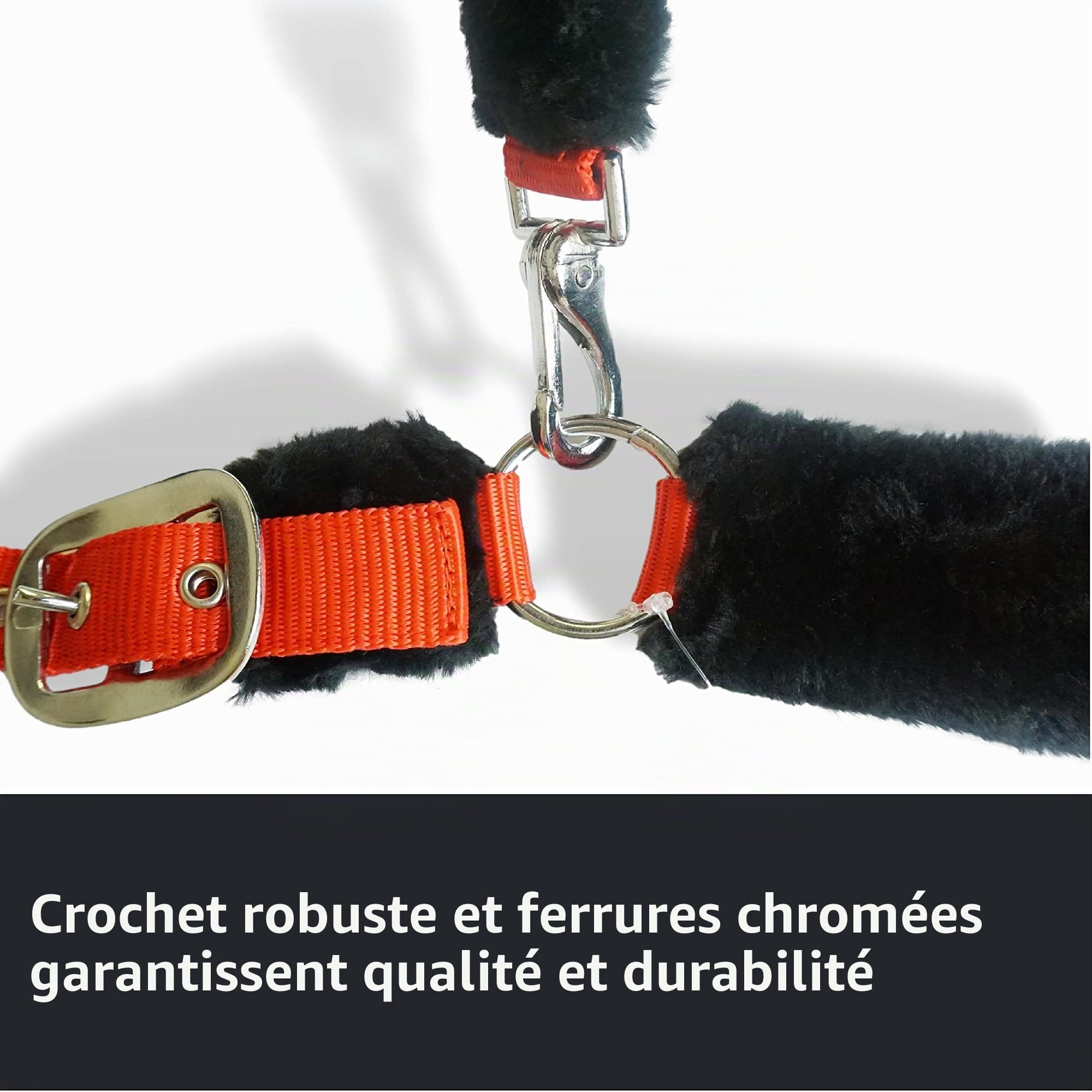Pferdelinis Licol et Longe pour Cheval avec Longe, Crochet de Panique, Licol Poney, COB, Sang Chaud, Sang Froid (Globe)