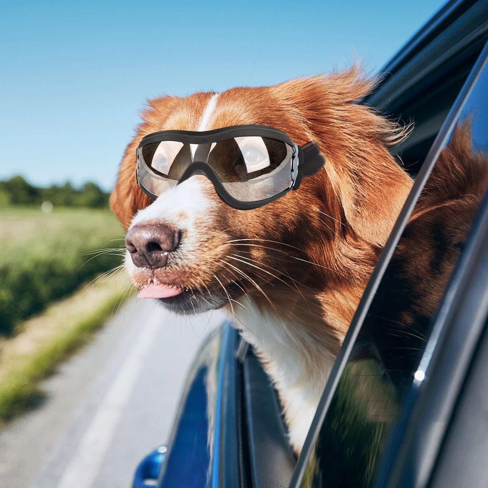 Casco Y Gafas para Perro - Gafas para Perros con Protección UV para El Viento Y El Polvo - Transpirables Casco De Protección Ajustable para Mascotas para Perros Pequeños