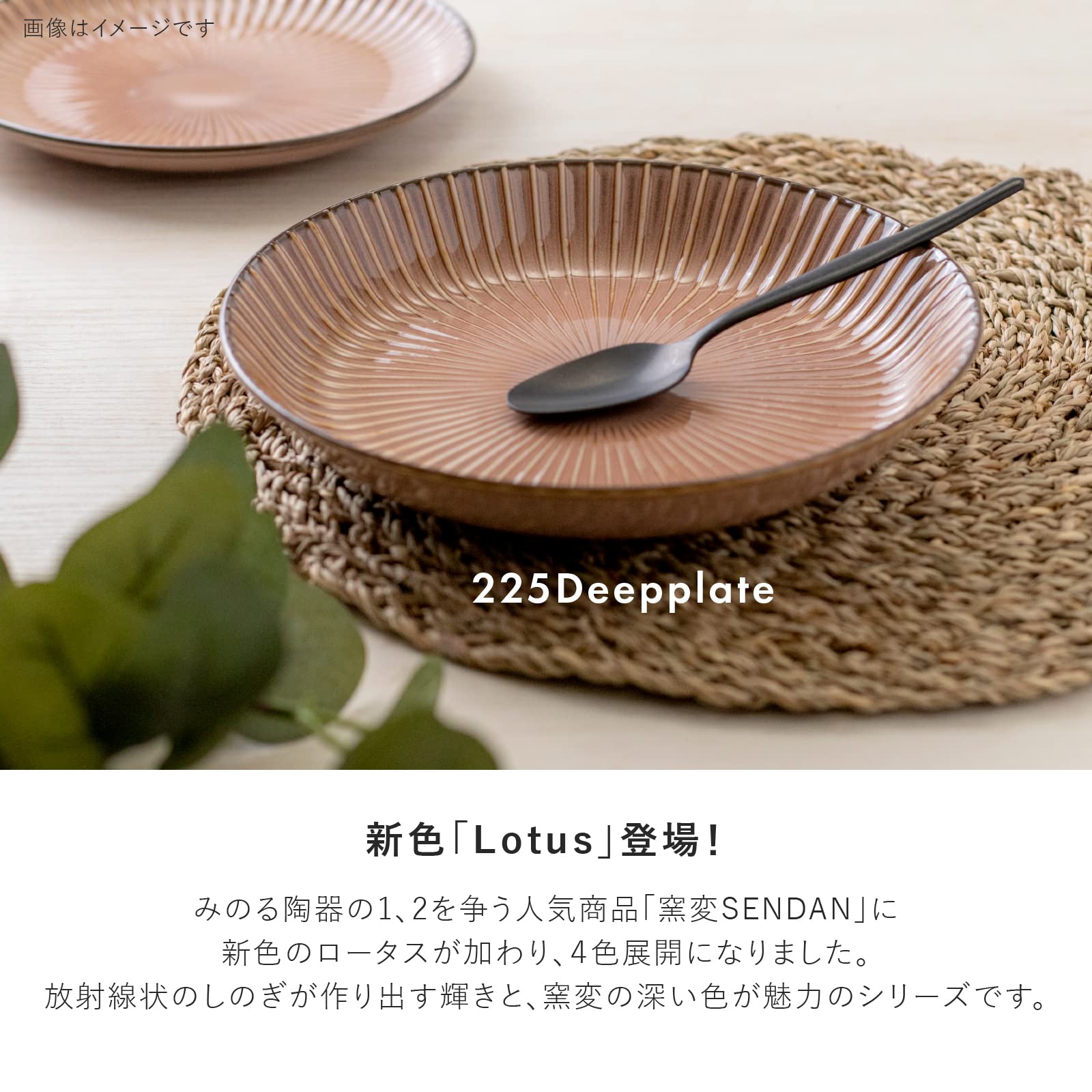 Amazon｜みのる陶器 美濃焼 窯変SENDAN 225ディーププレート ロータス