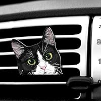 Vista 13 de WIRESTER Clip de ventilación con aroma fresco para automóvil, accesorios decorativos, decoración interior para autos